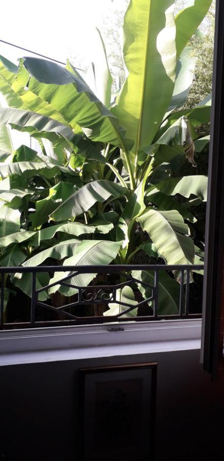 Cote Jardin Bed & Breakfast เปรีเกอ ภายนอก รูปภาพ